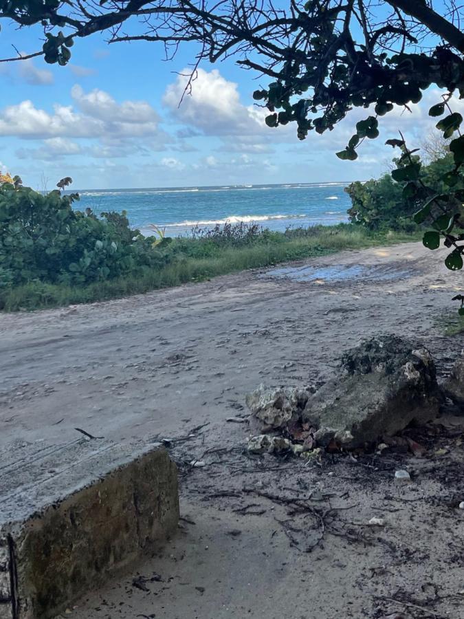 Duo d’appartement séparé par un couloir situé au bord de la mer Le Moule Extérieur photo